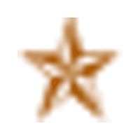 AustinTexas.gov logo