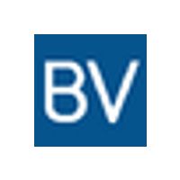 BroadVision Group logo