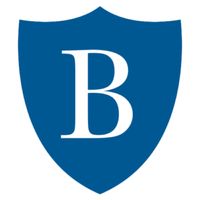 Brosnan Risk Consultants logo