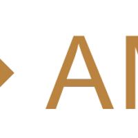 DELUXE AMERICAS logo