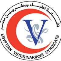 Egy Vet Synd logo
