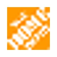 The Home Depot logo