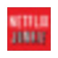 Netflix Junkie logo