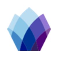 Solomon Partners logo