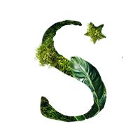 Starwood Hotels logo