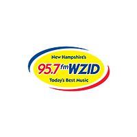 Wzid logo